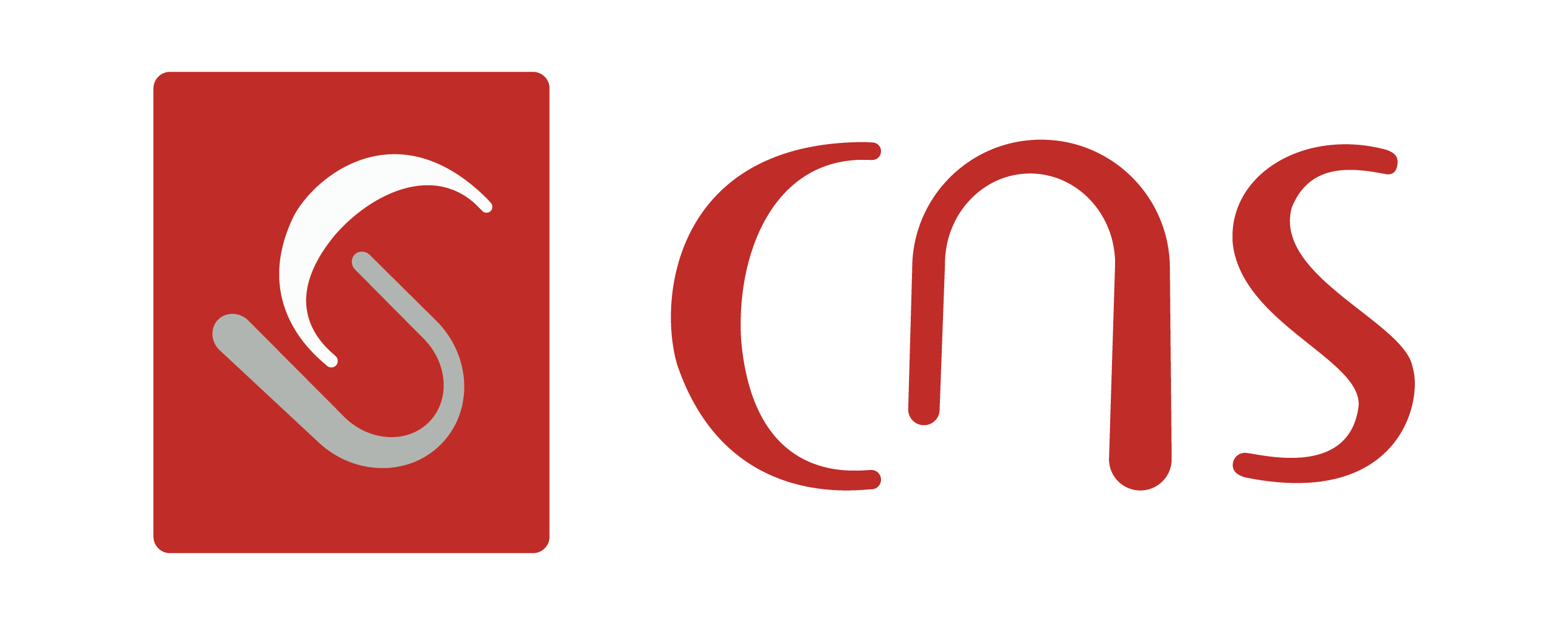 CNS Logo-01